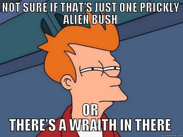 NOT SURE IF THAT'S JUST ONE PRICKLY ALIEN BUSH OR THERE'S A WRAITH IN THERE Futurama Fry