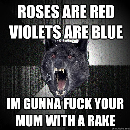 ROSES ARE RED VIOLETS ARE BLUE IM GUNNA FUCK YOUR MUM WITH A RAKE  Insanity Wolf