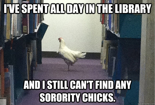 i've spent all day in the library and i still can't find any sorority chicks.   