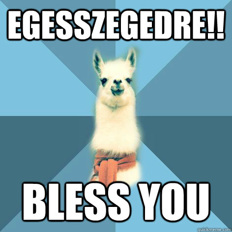 Egesszegedre!! bless you  Linguist Llama