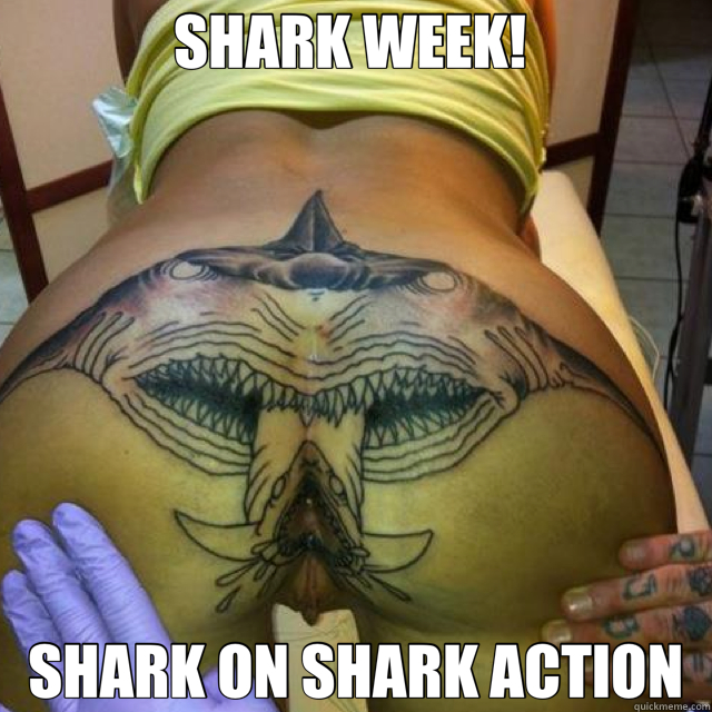 SHARK WEEK!  SHARK ON SHARK ACTION - SHARK WEEK!  SHARK ON SHARK ACTION  shark week