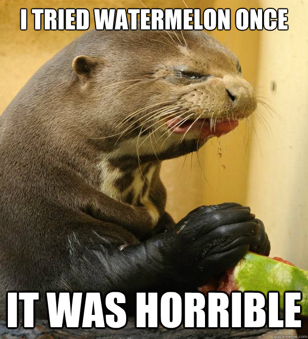I Tried Watermelon once it was horrible - I Tried Watermelon once it was horrible  Sourpuss otterpants