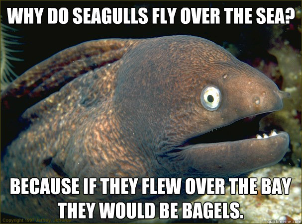 Why do seagulls fly over the sea?

 Because if they flew over the bay they would be bagels. - Why do seagulls fly over the sea?

 Because if they flew over the bay they would be bagels.  Bad Joke Eel