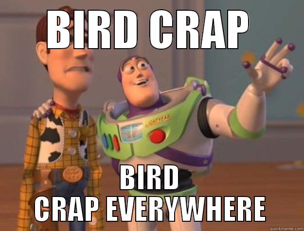 BIRD CRAP BIRD CRAP EVERYWHERE Toy Story