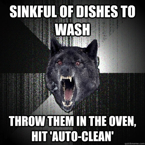 sinkful of dishes to wash throw them in the oven, hit 'auto-clean'  Insanity Wolf
