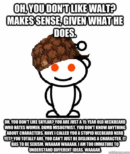 Oh, you don't like Walt? Makes sense, given what he does. Oh, you don't like skylar? You are just a 15 year old neckbeard who hates women. Dumb misogynist. You don't know anything about characters. Have I called you a stupid necbeard nerd yet? You totally  Scumbag Reddit