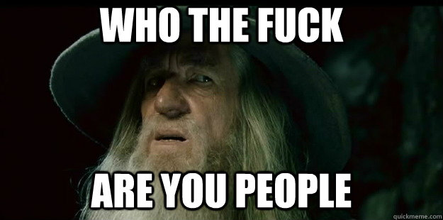 who the fuck are you people  I have no memory Gandalf