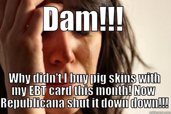 DAM!!! WHY DIDN'T I BUY PIG SKINS WITH MY EBT CARD THIS MONTH! NOW  REPUBLICANA SHUT IT DOWN DOWN!!! First World Problems