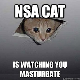 nsa cat  is watching you masturbate  Ceiling Cat