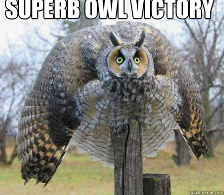 SUPERB OWL VICTORY   