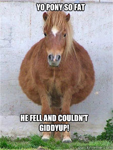 Yo Pony So fat He fell and couldn't Giddyup!  