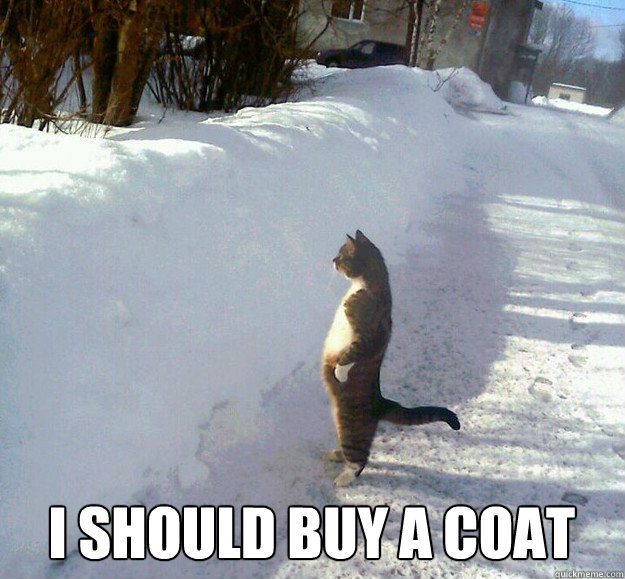 I should buy a coat - I should buy a coat  Misc