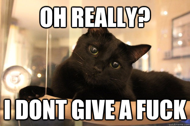 Oh really? I dont give a fuck  No fucks given cat