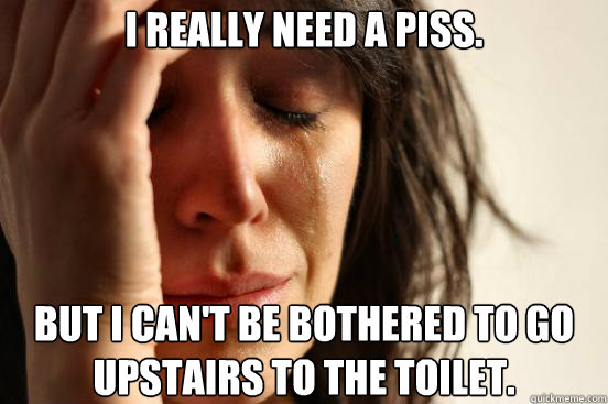 I really need a piss. but I can't be bothered to go upstairs to the toilet.  First World Problems