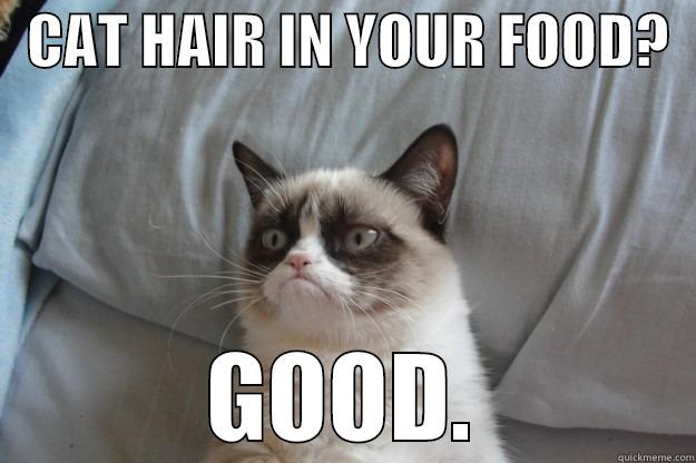 POTLUCK PROBLEMS -   CAT HAIR IN YOUR FOOD?   GOOD. Grumpy Cat