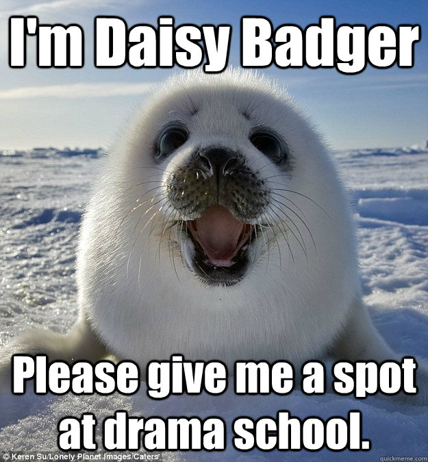 I'm Daisy Badger Please give me a spot at drama school.  Easily Pleased Seal