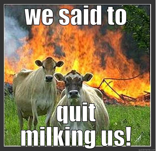 WE SAID TO QUIT MILKING US! Evil cows