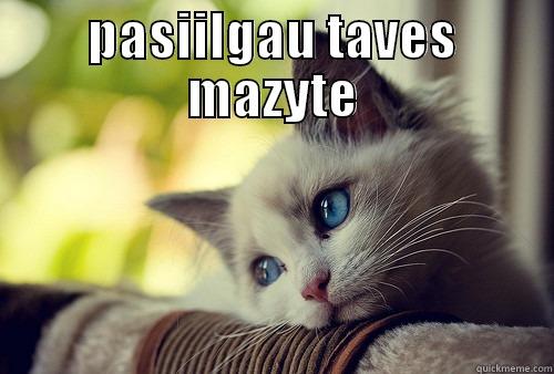 PASIILGAU TAVES MAZYTE  First World Problems Cat