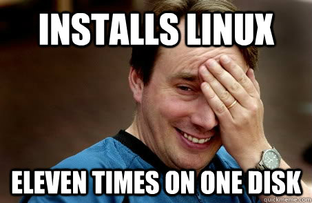 installs linux eleven times on one disk  Linux user problems