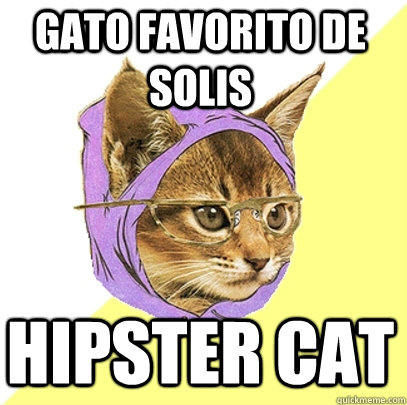 Gato favorito de Solis Hipster cat  Hipster Kitty