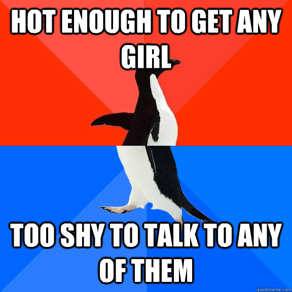 Hot enough to get any girl Too shy to talk to any of them  Socially Awesome Awkward Penguin