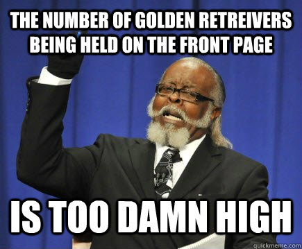 The number of golden retreivers being held on the front page is too damn high  Too Damn High