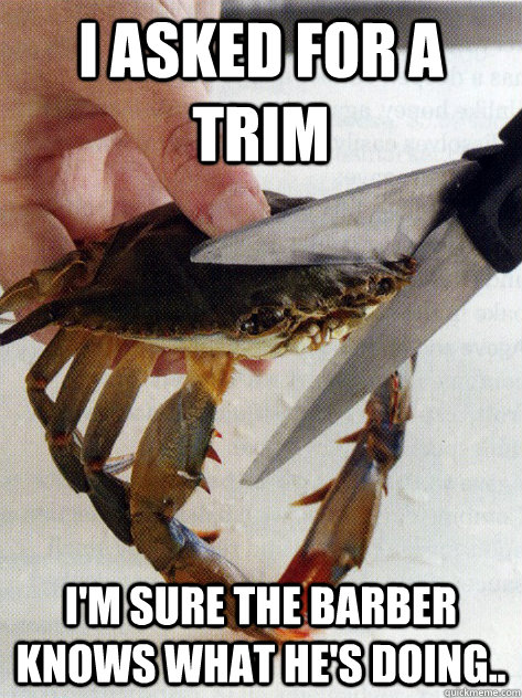 I asked for a trim I'm sure the barber knows what he's doing.. - I asked for a trim I'm sure the barber knows what he's doing..  Optimistic Crab