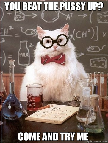 YOU BEAT THE PUSSY UP? COME AND TRY ME   Chemistry Cat