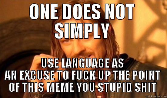ONE DOES NOT SIMPLY USE LANGUAGE AS AN EXCUSE TO FUCK UP THE POINT OF THIS MEME YOU STUPID SHIT Boromir