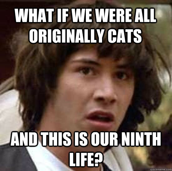 what if we were all originally cats and this is our ninth life?  conspiracy keanu