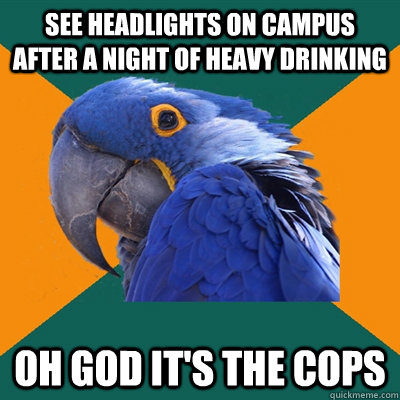 See headlights on campus after a night of heavy drinking OH god it's the cops  Paranoid Parrot
