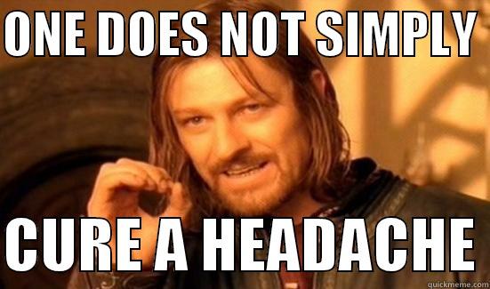 ONE DOES NOT SIMPLY   CURE A HEADACHE Boromir