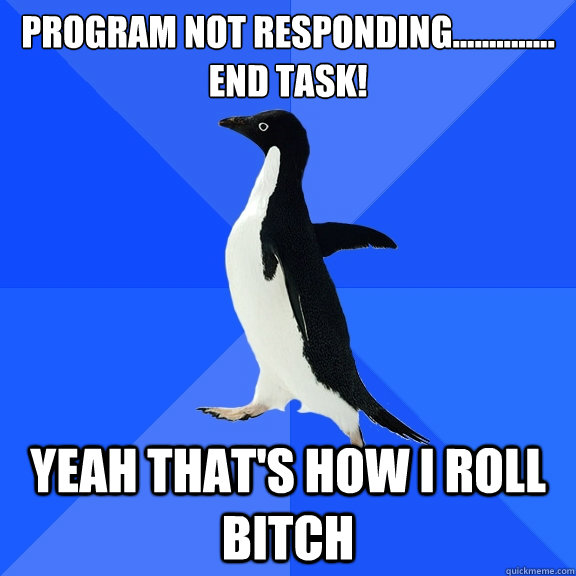 Program not responding..............
end task! Yeah that's how i roll bitch  Socially Awkward Penguin