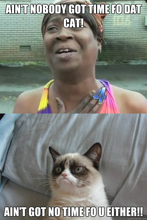 Ain't nobody got time fo dat cat! Ain't got no time fo u either!!  sweet brown and grumpy cat