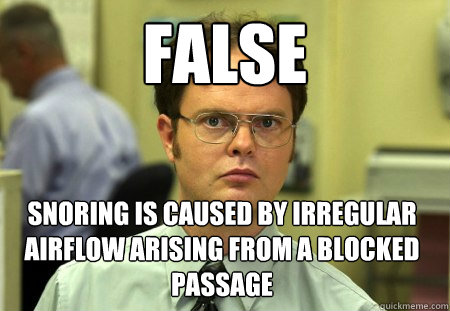 FALSE Snoring is caused by irregular airflow arising from a blocked passage  Dwight