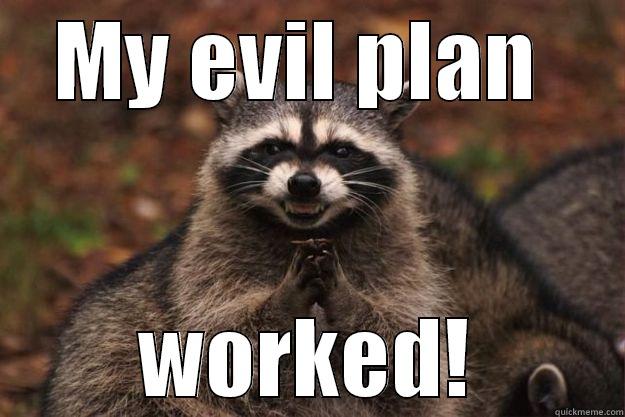 MY EVIL PLAN  WORKED! Evil Plotting Raccoon