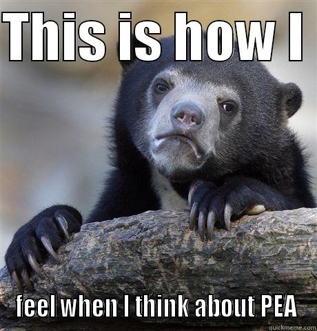 THIS IS HOW I  FEEL WHEN I THINK ABOUT PEA Confession Bear