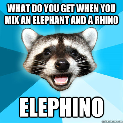 What do you get when you mix an elephant and a rhino Elephino  Lame Pun Coon