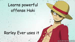 Learns powerful offense Haki Rarley Ever uses it  