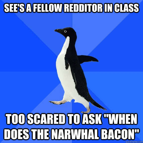See's a fellow Redditor in Class too scared to ask 
