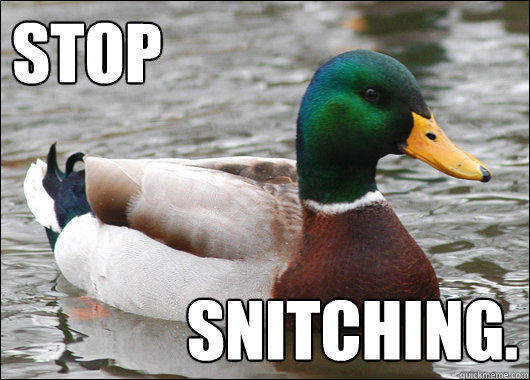 Stop  snitching.  Actual Advice Mallard