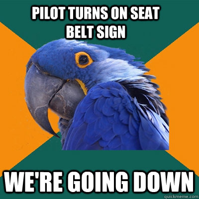 Pilot turns on Seat belt Sign We're going down  Paranoid Parrot