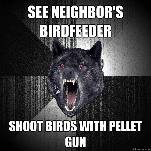 see neighbor's birdfeeder shoot birds with pellet gun  Insanity Wolf