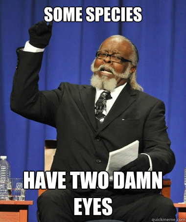 SOME SPECIES have two damn eyes  The Rent Is Too Damn High