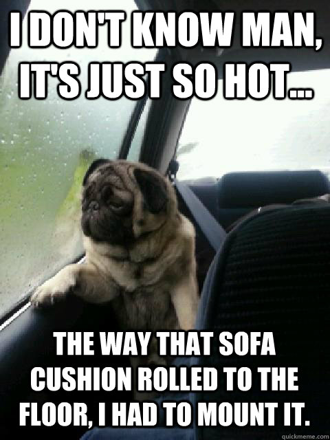 I don't know man, it's just so hot... the way that sofa cushion rolled to the floor, I had to mount it. - I don't know man, it's just so hot... the way that sofa cushion rolled to the floor, I had to mount it.  introspective pug on cesar millan