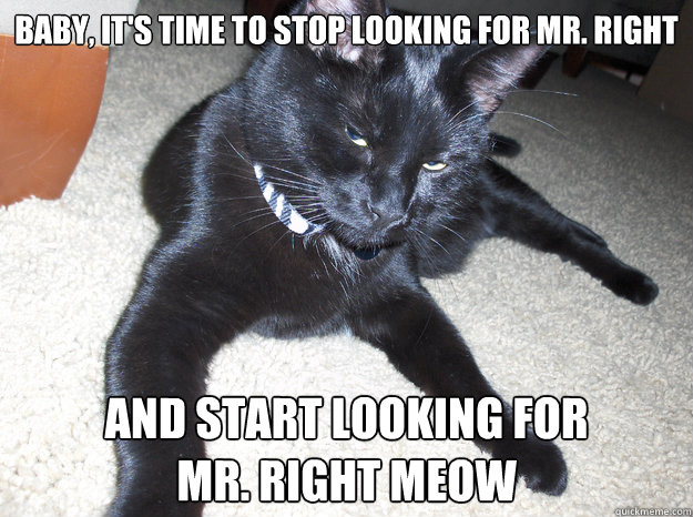 Baby, it's time to stop looking for Mr. Right and start looking for 
mr. right meow - Baby, it's time to stop looking for Mr. Right and start looking for 
mr. right meow  Sleazy Black Cat