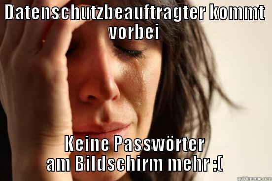 DATENSCHUTZBEAUFTRAGTER KOMMT VORBEI KEINE PASSWÖRTER AM BILDSCHIRM MEHR :( First World Problems