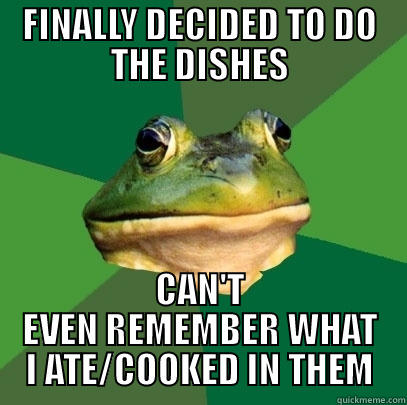 FINALLY DECIDED TO DO THE DISHES CAN'T EVEN REMEMBER WHAT I ATE/COOKED IN THEM Foul Bachelor Frog