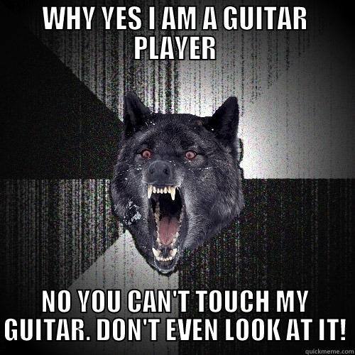 WHY YES I AM A GUITAR PLAYER NO YOU CAN'T TOUCH MY GUITAR. DON'T EVEN LOOK AT IT! Insanity Wolf