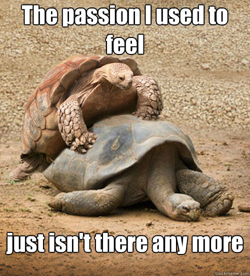 The passion I used to feel just isn't there any more - The passion I used to feel just isn't there any more  Depression Turtle